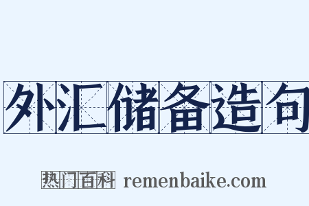 外汇储备造句是什么意思的图片